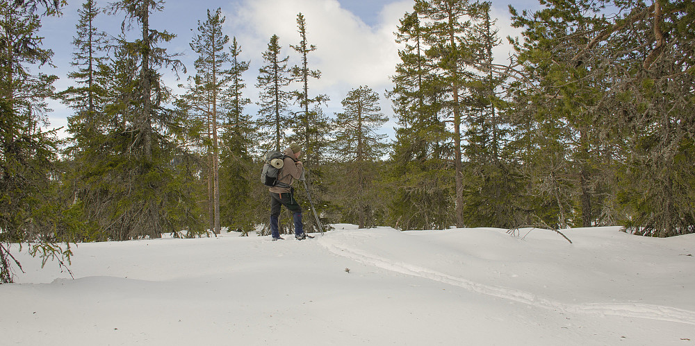 Skjeråsen Vest 706moh.