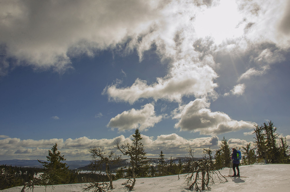 Ørnhaugen 903moh.
Ser fint ut, men det var kraftige vindkast og det begynte å snø. Vi snudde og gikk tilbake til bilen. 