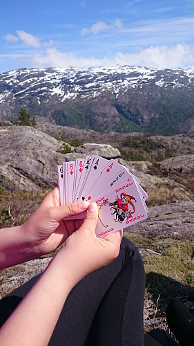 Et slag kort på Nyaselsnuten