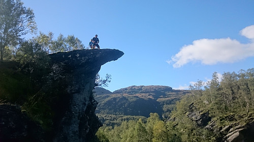 En mini trolltunge er super kult!