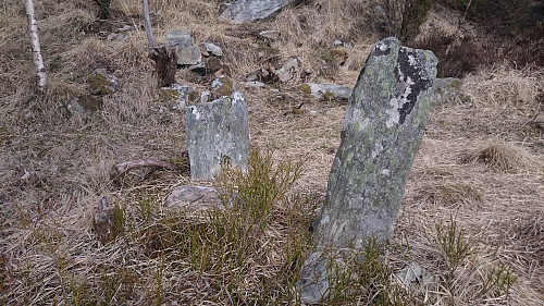 Brørsteinane