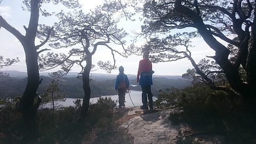 Børshovda