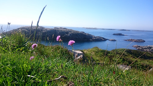 Brømsund