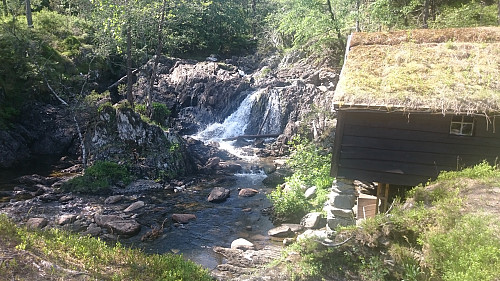 Hauglandskvedno