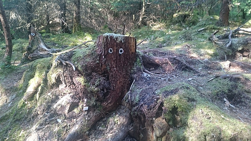 Eventyrskogen