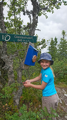 Gløstøylnuten - det høyeste punktet på turen Lårdalstigen