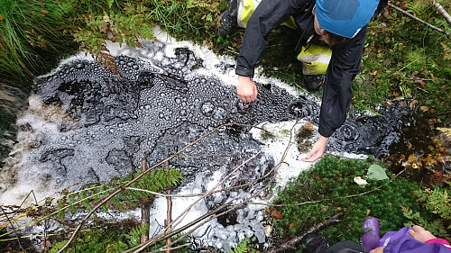 Gøy å leke i bekken