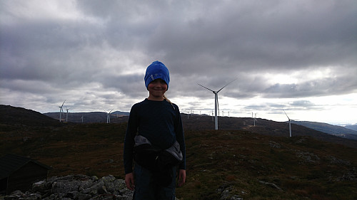 Landasåta med Midtfjellet Vindpark 