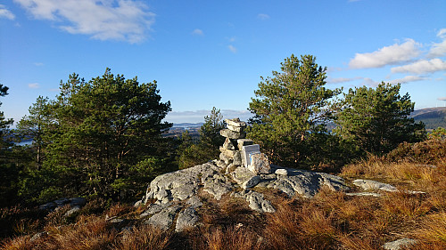Surefjellet