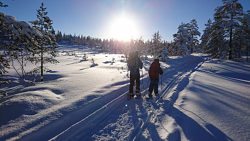 I god driv på vei til Tjønndalen