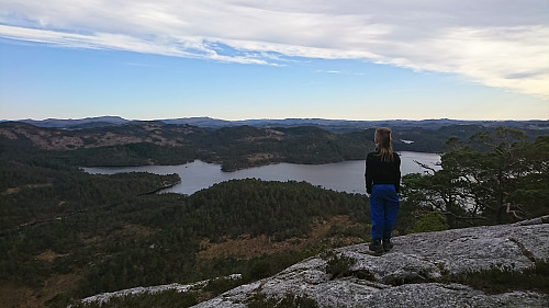 Ser ut over Liervatnet fra Børshovda