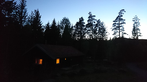 Koselig kveld i skogen med voldsom fuglesang, Slirebu