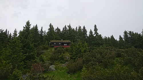 Skjellbreidhytta 