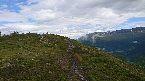 Fin sti ut til Daumålshaugen