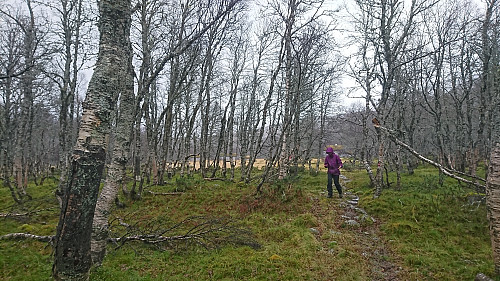 Farvel Bleskestadmoen!