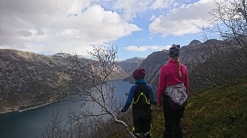 Flott utsikt over Ringedalsvatnet