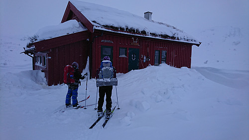 Simlebu i Etnefjellet