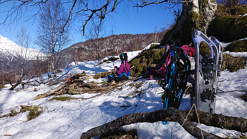 Spikking ved bålet