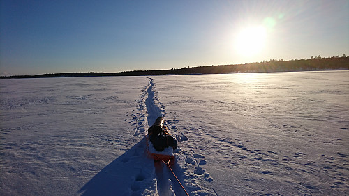 Nok snø ;-)