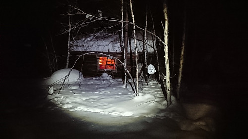 Ødevannskoia - Øvre Pasvik Nasjonalpark