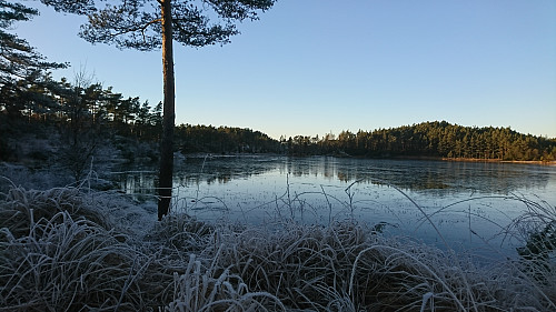 Knutstjørna