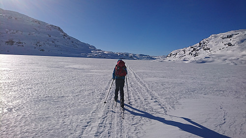 Brillefint på Votna