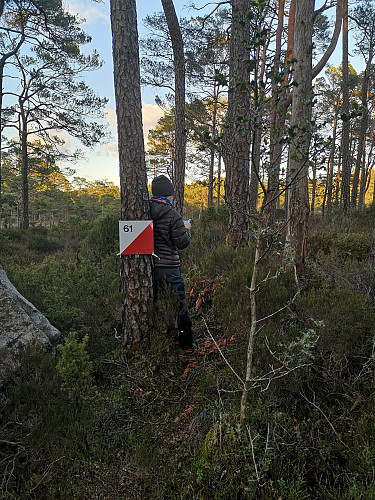 Kartet studeres - hvor er neste post?