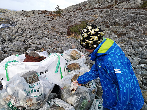 Søppelrydding