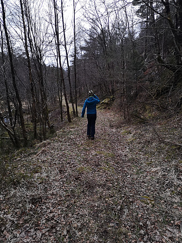 Solheimsdalen