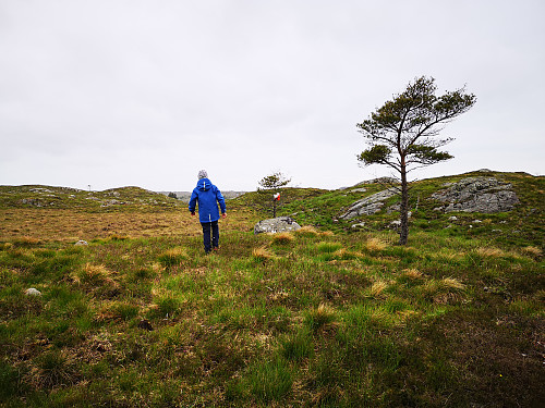 Ettermiddagstur i lettgått kystlandskap