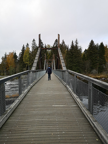 Startet dagen på Norsk Skogsmuseum, Elverum
