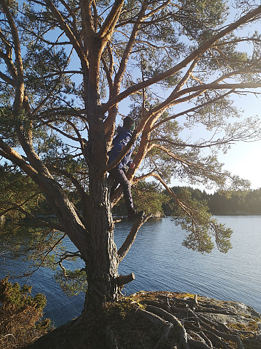 Fin dag ved sjøen
