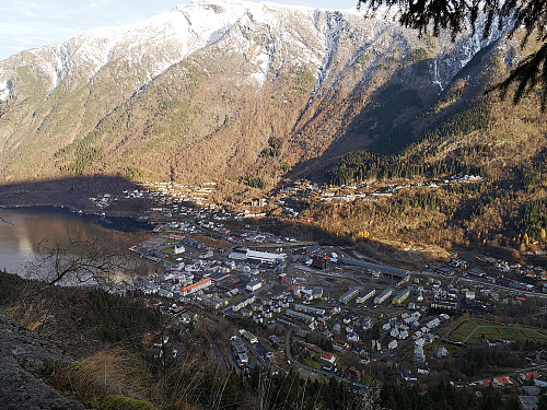 Odda