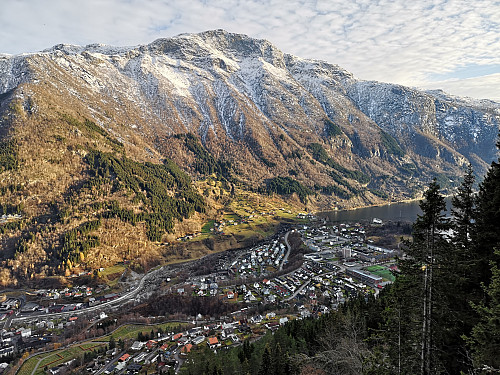 Odda