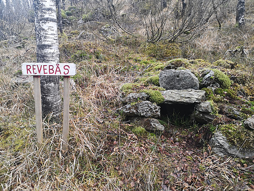 Gamle fangstfeller