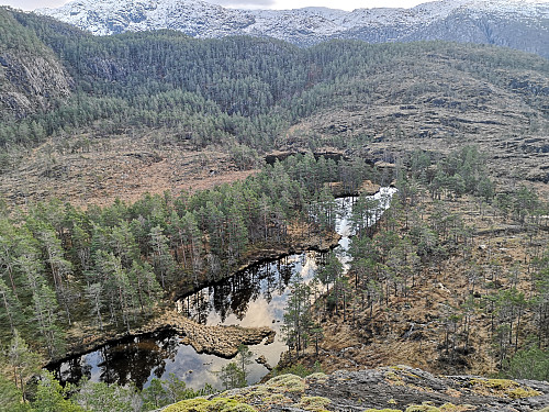 Haugkvamselva