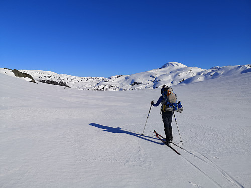 Etnefjellet her kommer jeg!