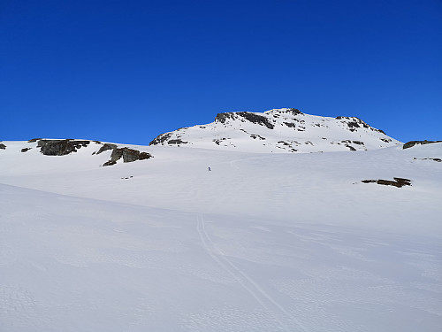 Fjellet helt for oss selv - koronafritt!