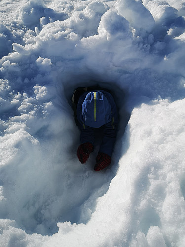 Snøhula har fått en til utgang