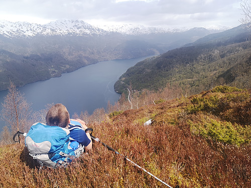 Nyte utsikten fra Ripelen