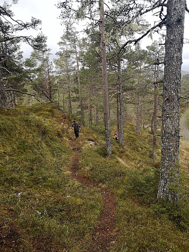 På tur til det høyeste punktet på øya
