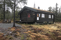 Blåmyrkoia