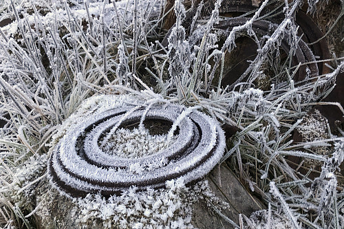 Ovnsrester av sætra på Bokåsen
