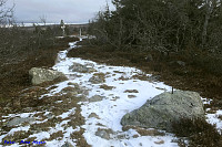 Stallsberghøgda (Nysæteråsen)