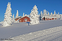 Stabbe_20181218_5c19357a83e15.jpg