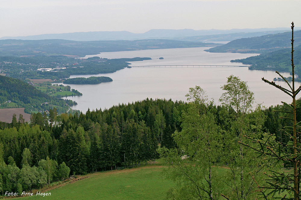 Utsikt over Mjøsa fra nedunder Biskopåsen.