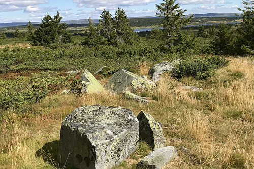 Løvisåsen