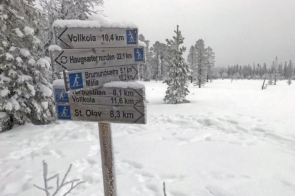 Tjernsmyra nord