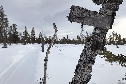 Gammelt løypeskilt