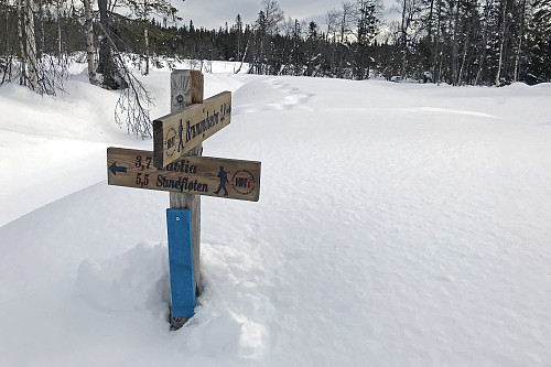 Langs Brumundsjøvegen
